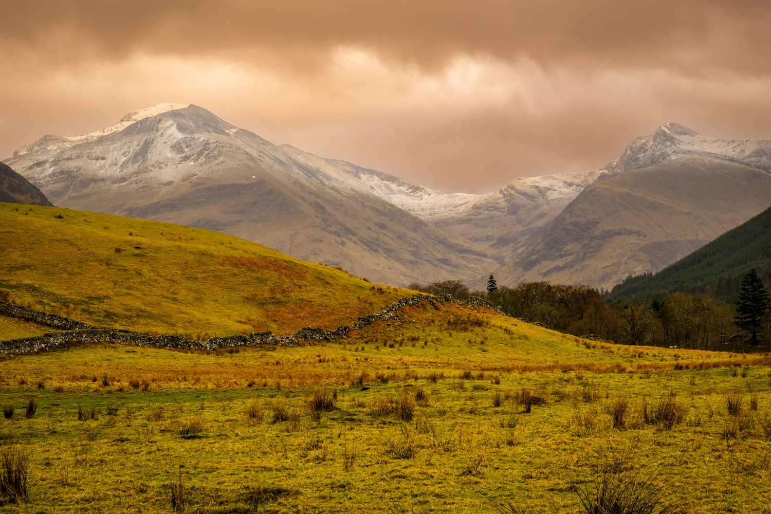 Highland Pasture, Storm Light, Scottish Highlands